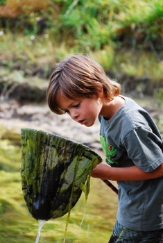 Waterbeestjes Expeditie (basisschoolkinderen)