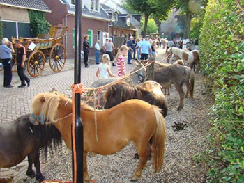 De Sint Jacobus Paardenmarkt